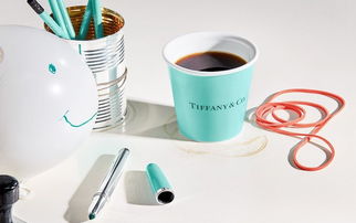 Tiffany推出天价日用品 奢侈品界的荒诞与现实